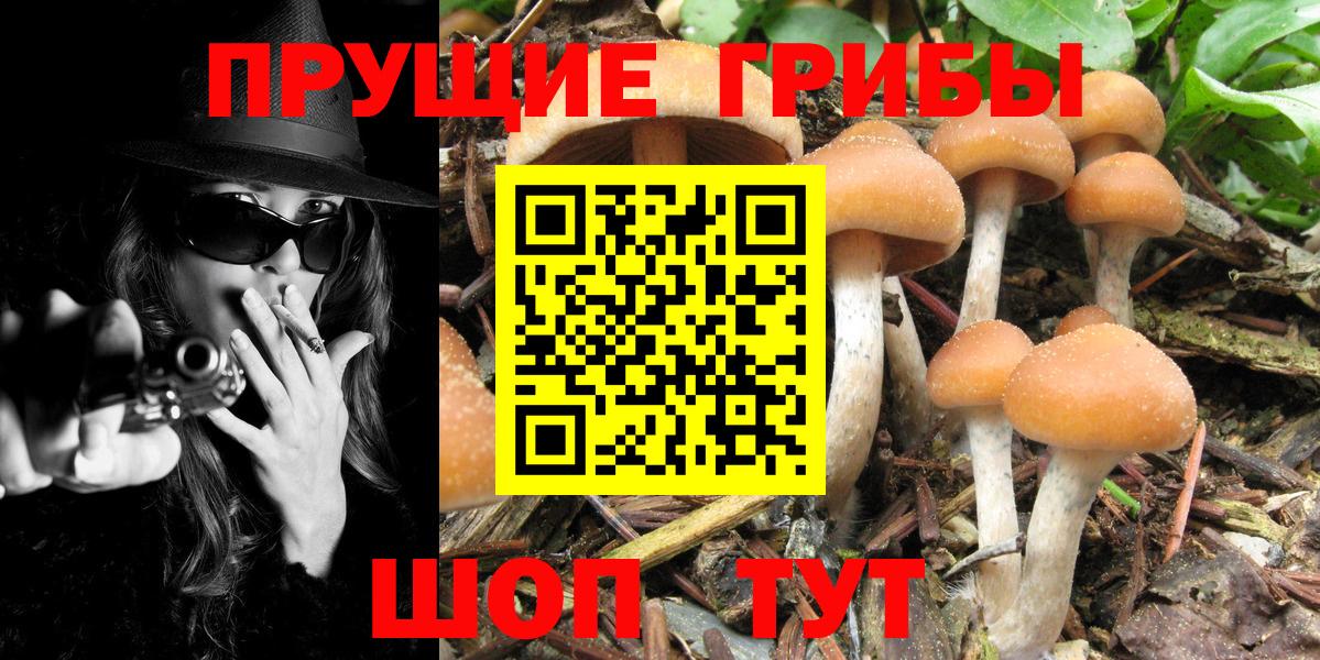 Псилоцибиновые грибы мухоморы Копейск