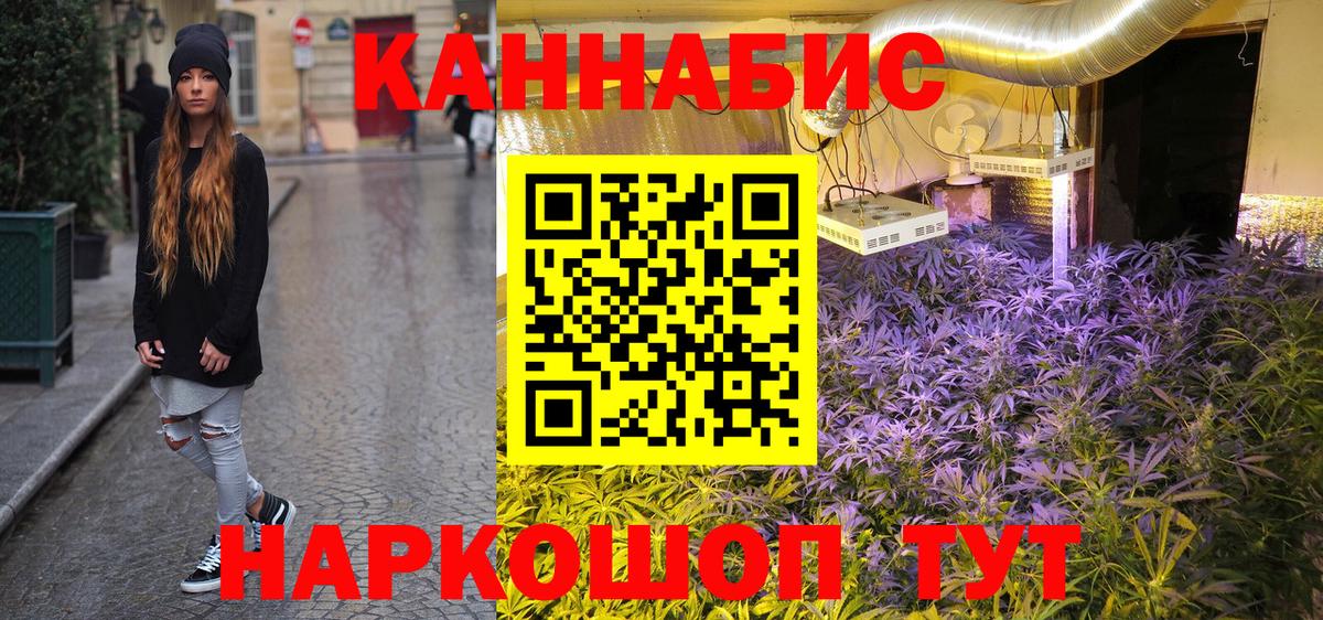 Бошки марихуана AK-47  Бошки марихуана AK-47  Вход с VPN  Копейск  Каннабис сатива 